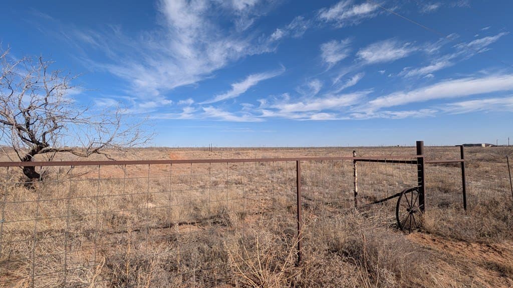 13.28 acres in Midland County - photo 7