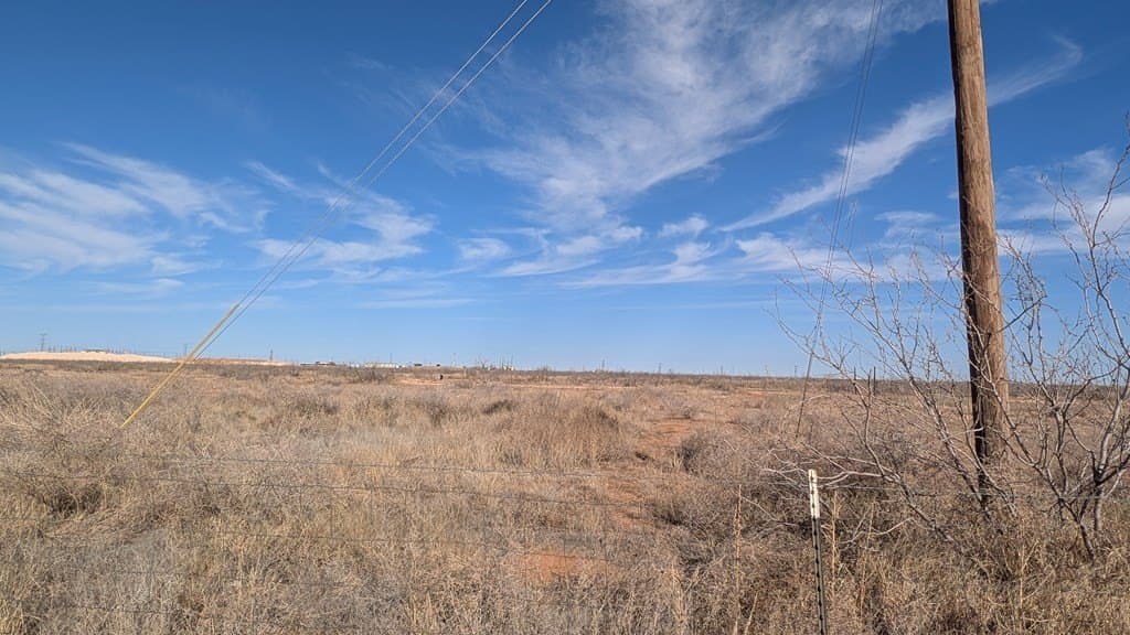 13.28 acres in Midland County - photo 6