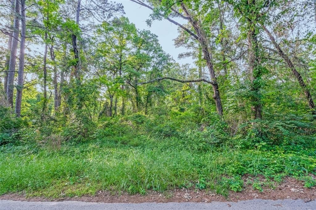 0.2 acres in Henderson County - photo 2