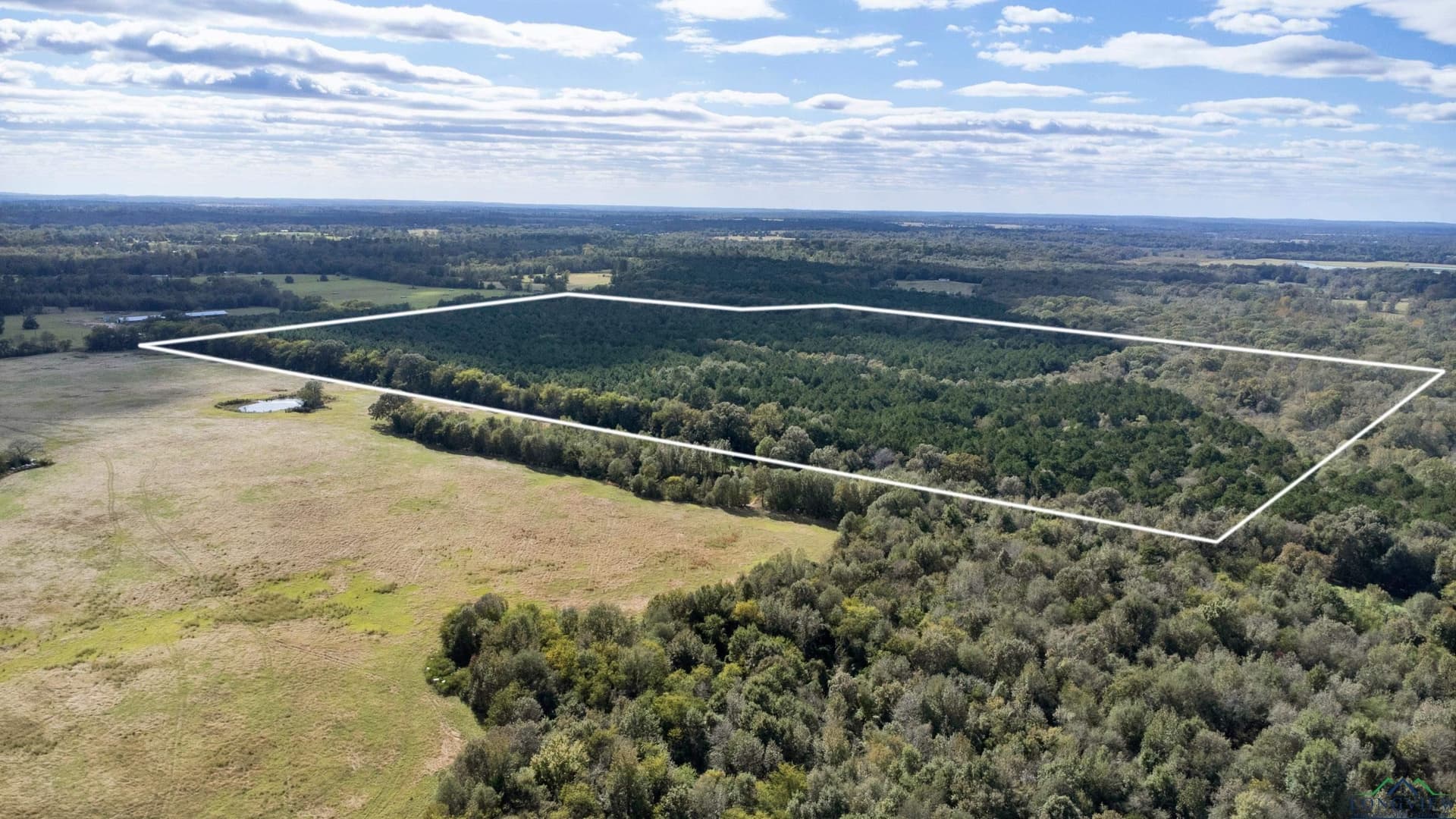 95.04 acres in Upshur County - photo 3