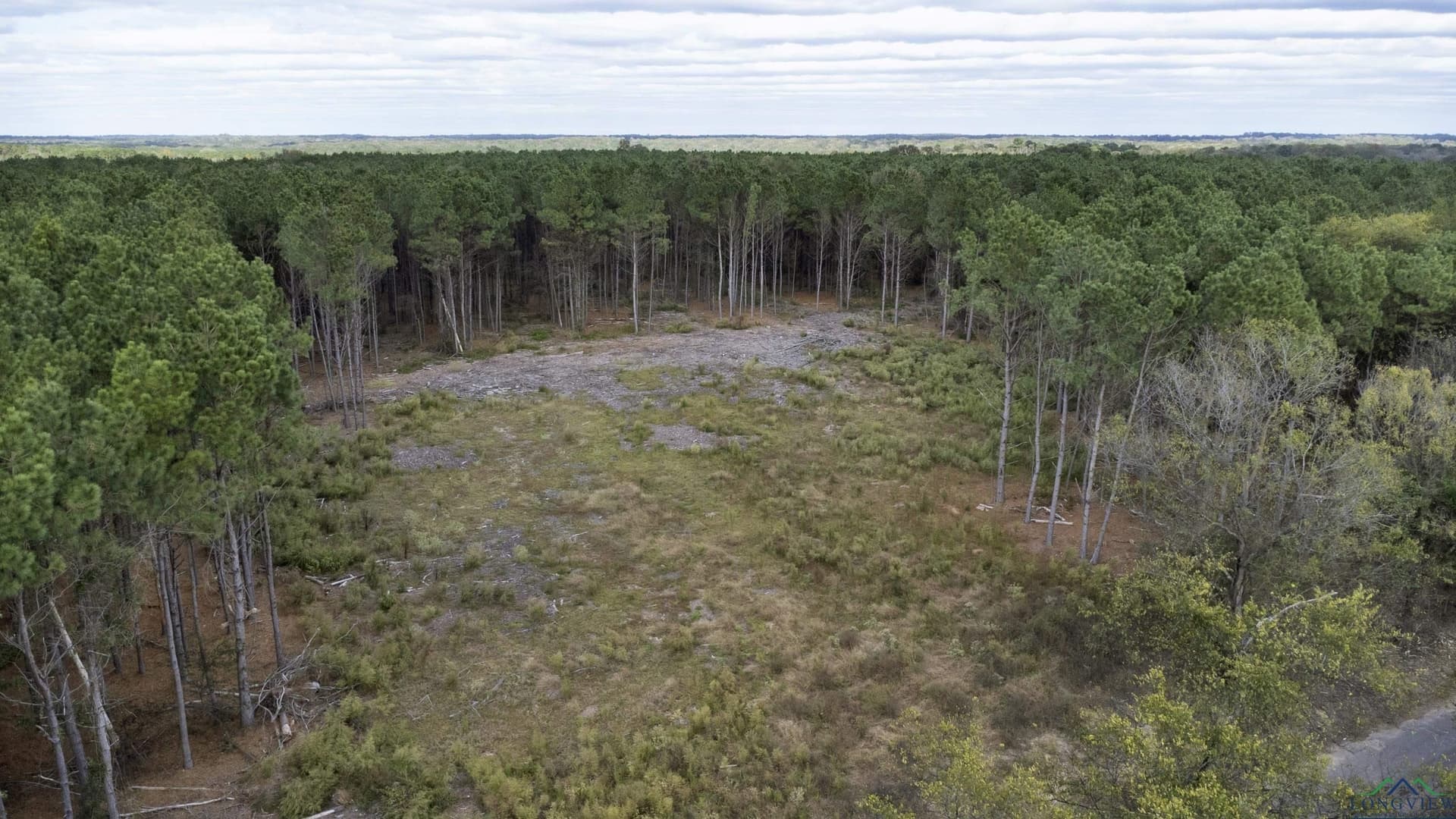 95.04 acres in Upshur County - photo 5
