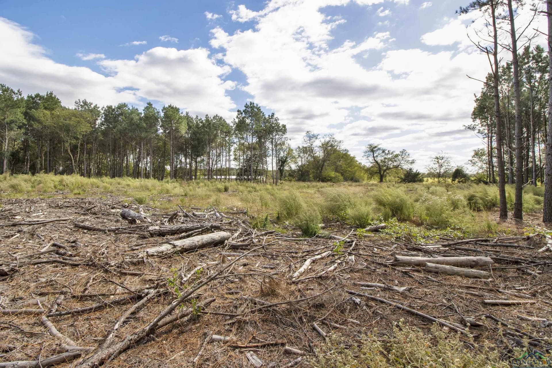 95.04 acres in Upshur County - photo 15