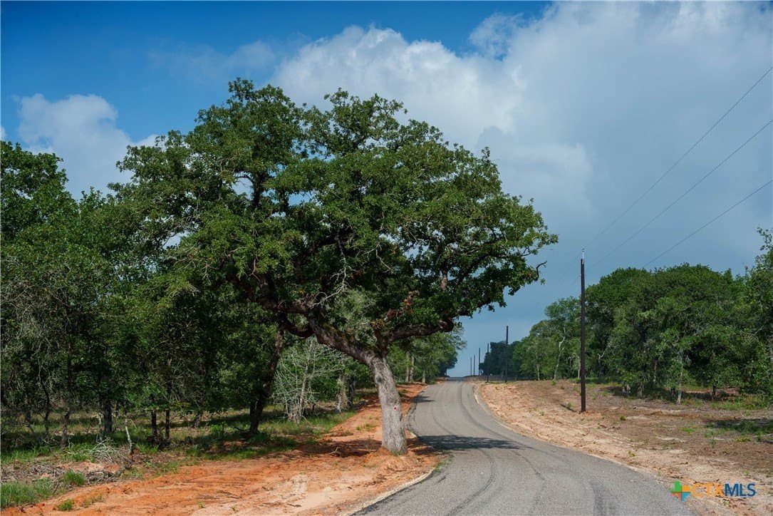 10.01 acres in Guadalupe County - photo 3