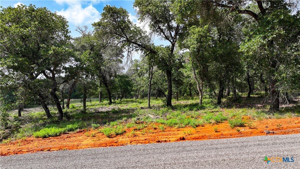 10.01 acres in Guadalupe County - photo 12