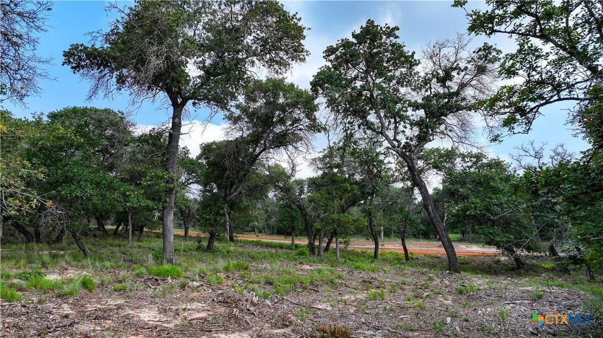 10.01 acres in Guadalupe County - photo 11