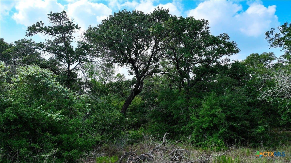 10.01 acres in Guadalupe County - photo 10