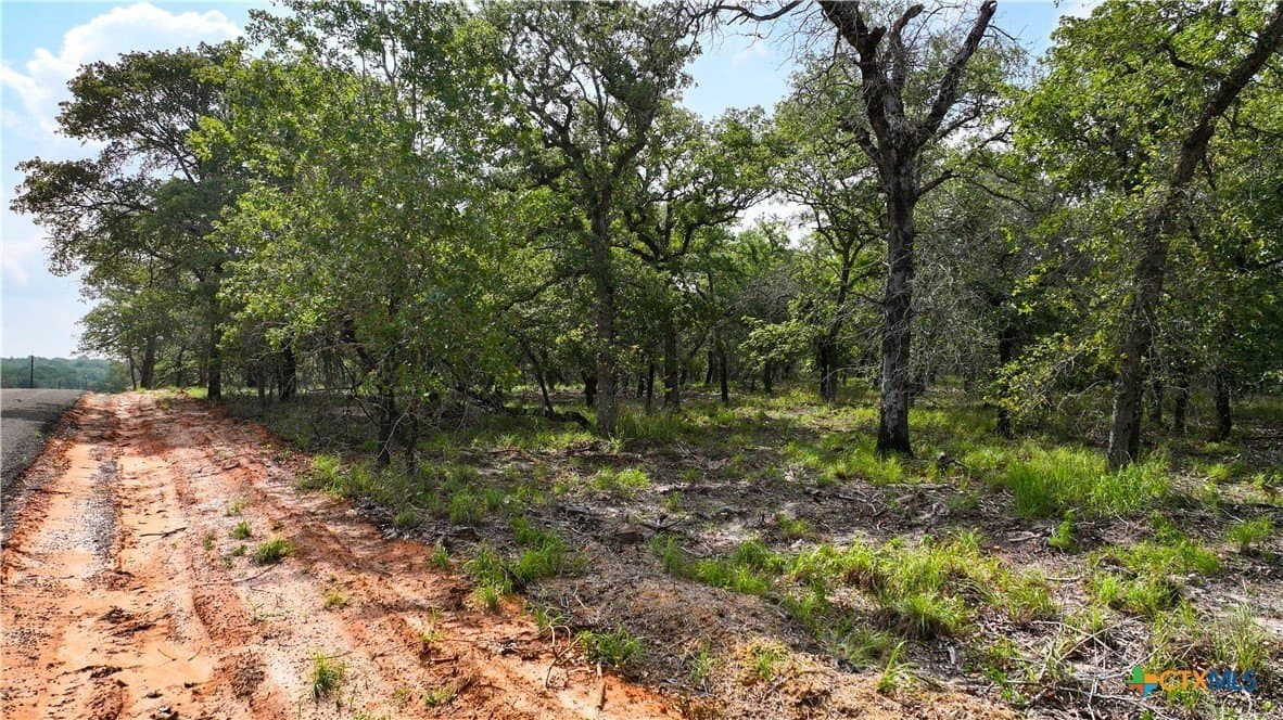 10.01 acres in Guadalupe County - photo 6