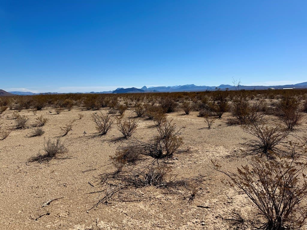 5 acres in Brewster County - photo 2