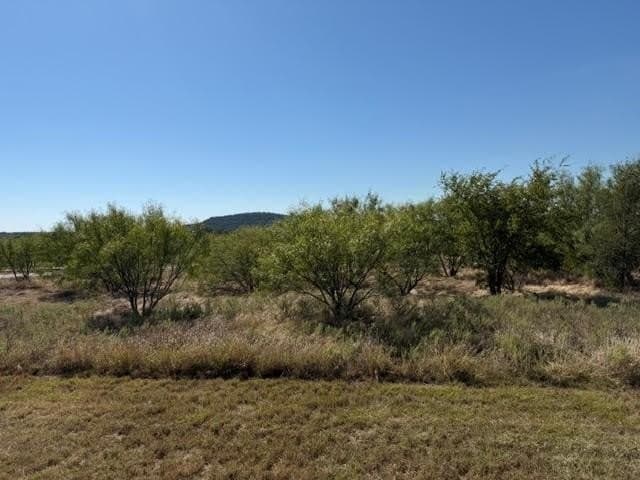 5.02 acres in Palo Pinto County - photo 14
