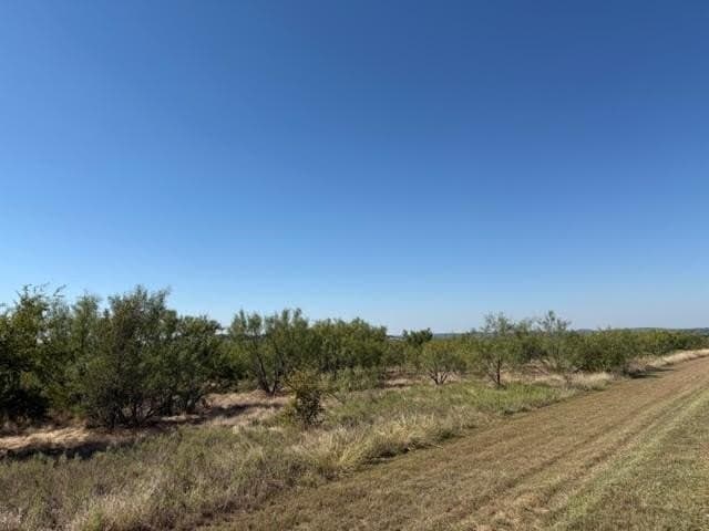 5.02 acres in Palo Pinto County - photo 15