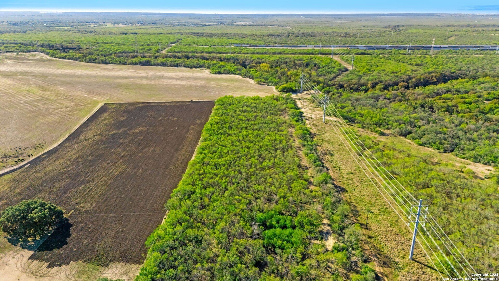 24.98 acres in Bexar County - photo 12
