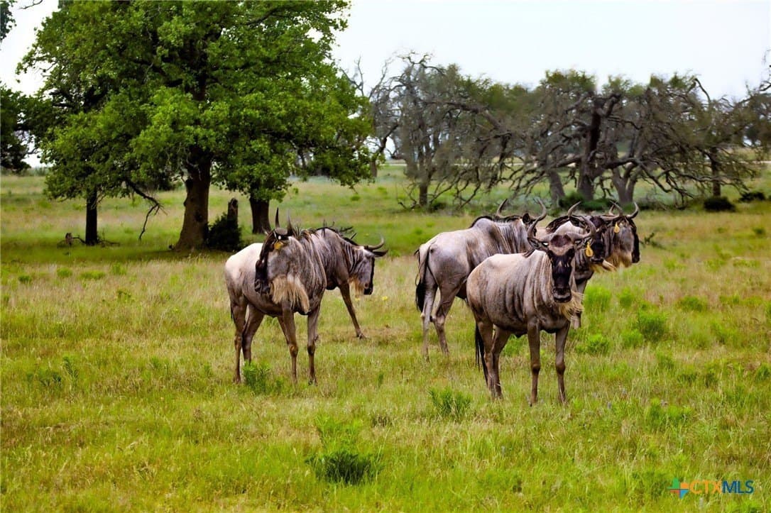 21.14 acres in Blanco County - photo 48