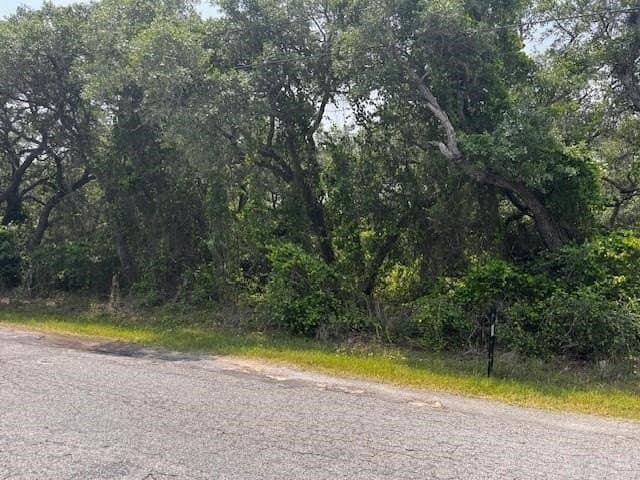 2.34 acres in San Patricio County - photo 2