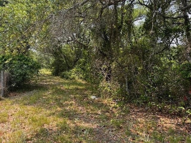 2.34 acres in San Patricio County - photo 3