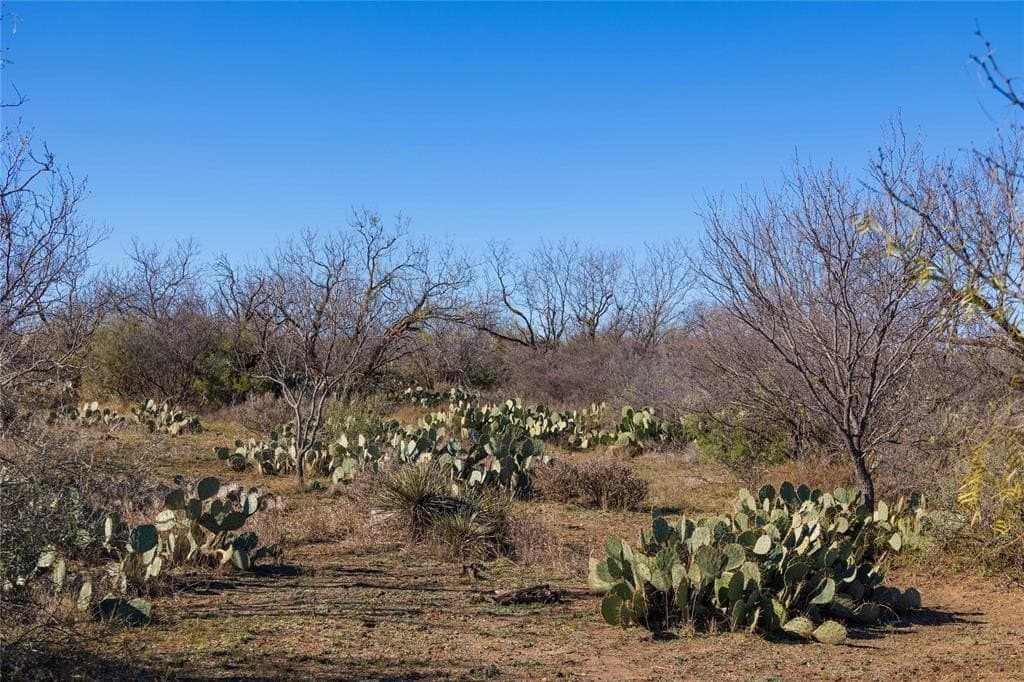 50 acres in McCulloch County - photo 4