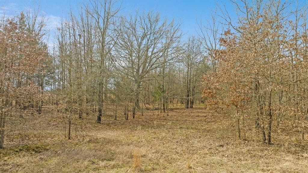 10 acres in Red River County - photo 23