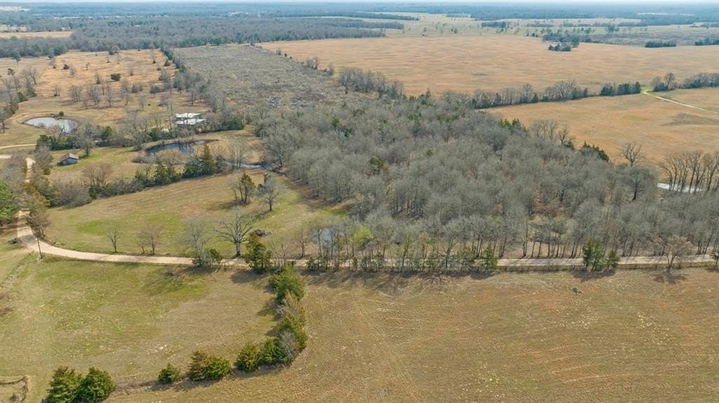 10 acres in Red River County - photo 19