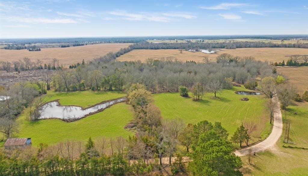 10 acres in Red River County - photo 4