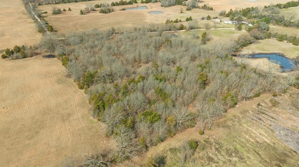 10 acres in Red River County - photo 21