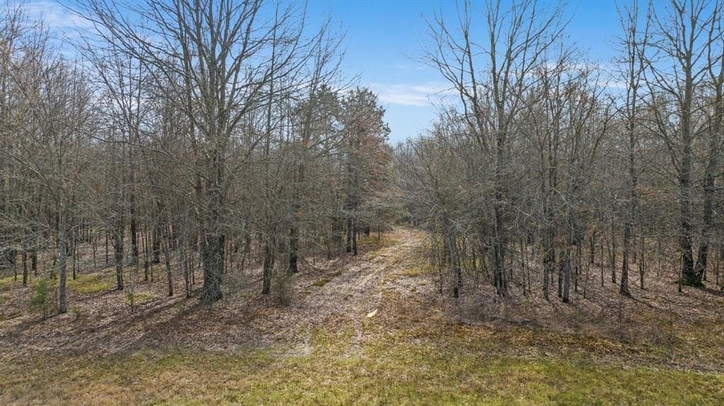 10 acres in Red River County - photo 28