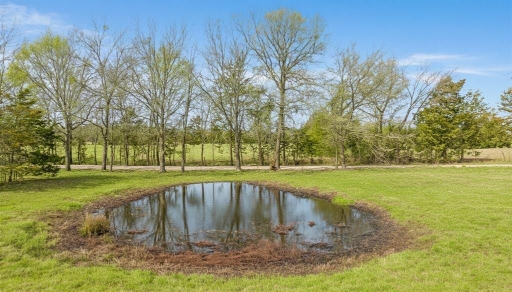 10 acres in Red River County - photo 14