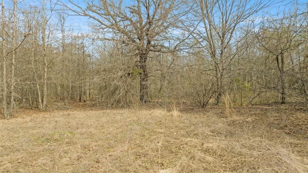 10 acres in Red River County - photo 25