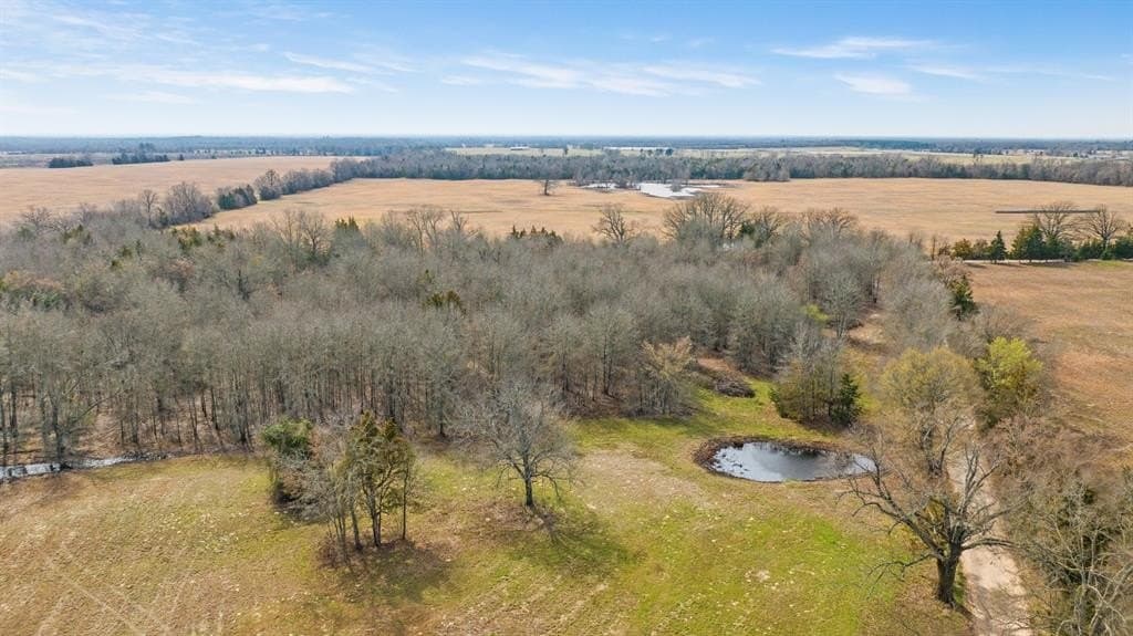 10 acres in Red River County - photo 16