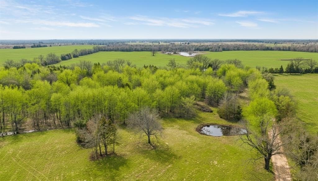10 acres in Red River County - photo 3