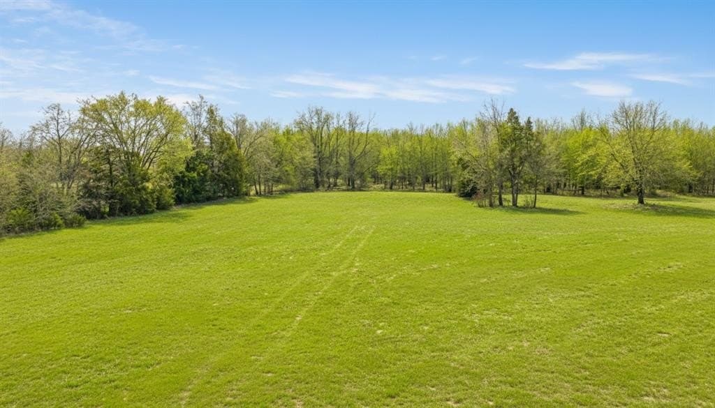 10 acres in Red River County - photo 31