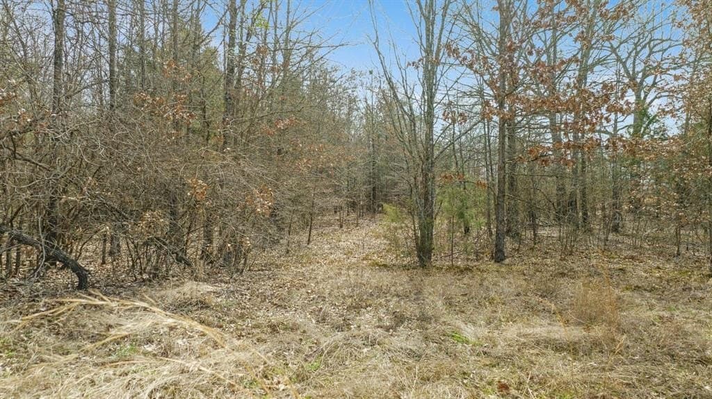10 acres in Red River County - photo 24