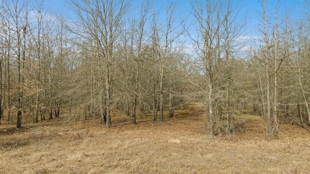 10 acres in Red River County - photo 22