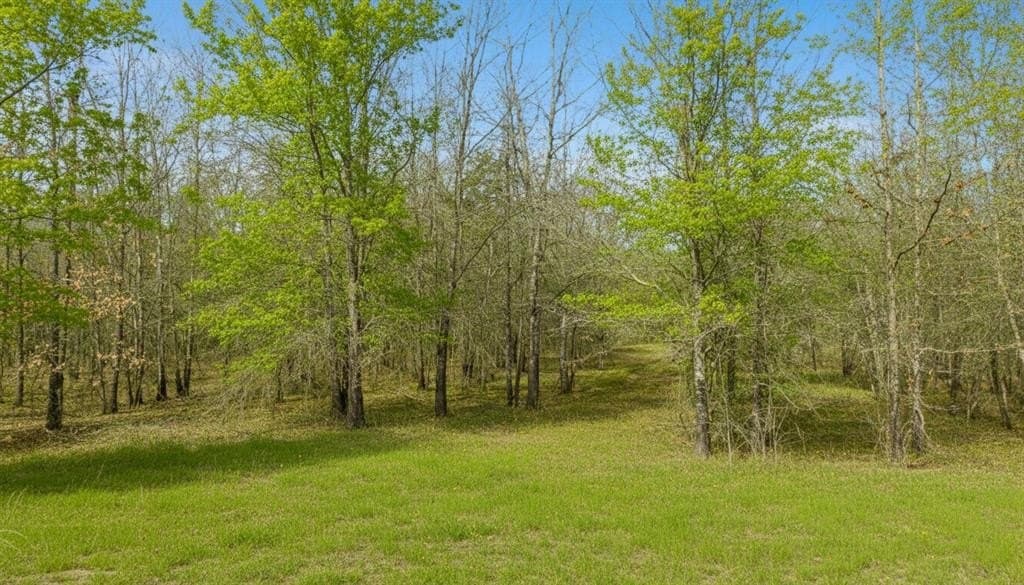 10 acres in Red River County - photo 12