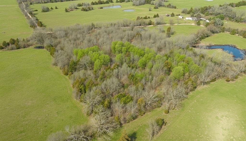 10 acres in Red River County - photo 10