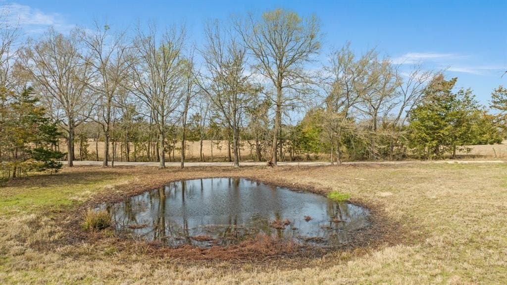 10 acres in Red River County - photo 26