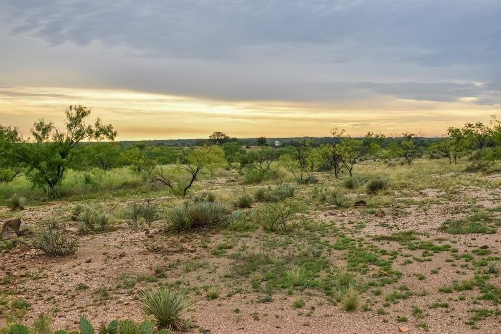 40 acres in McCulloch County - photo 2
