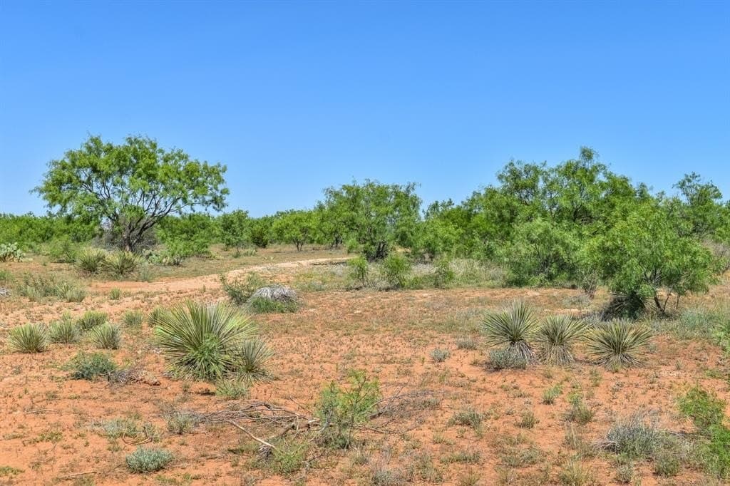 40 acres in McCulloch County - photo 3