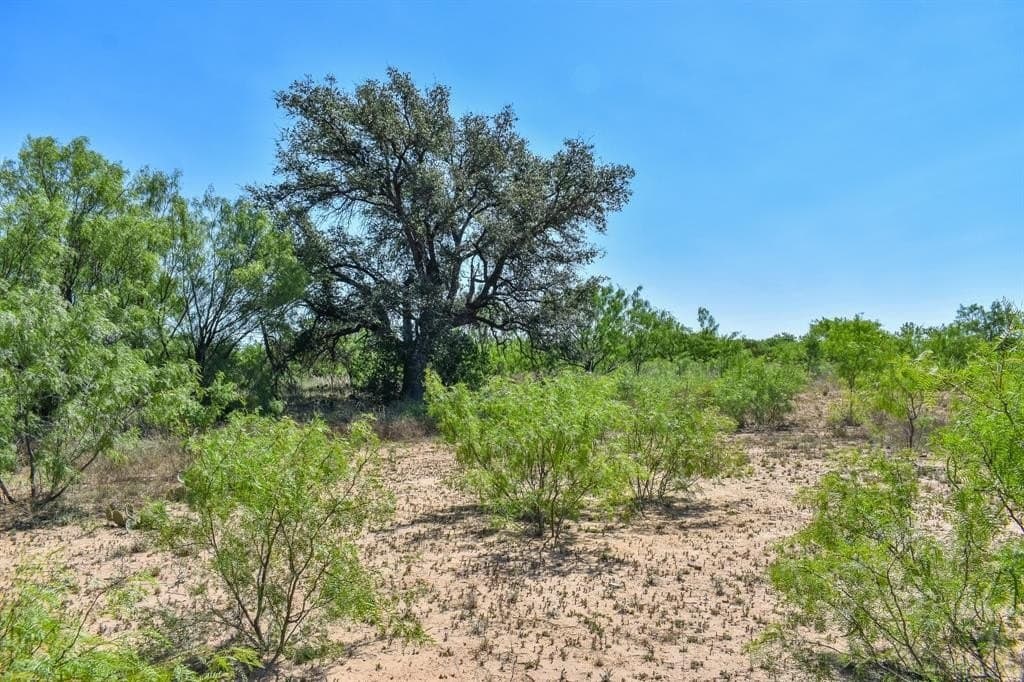 40 acres in McCulloch County - photo 11