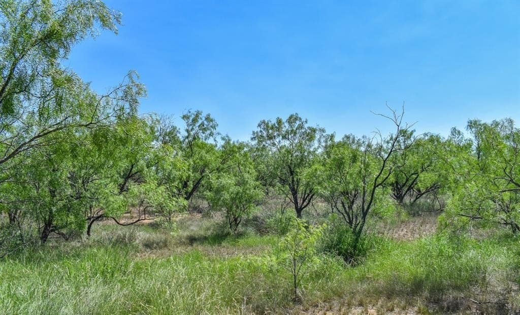 40 acres in McCulloch County - photo 9