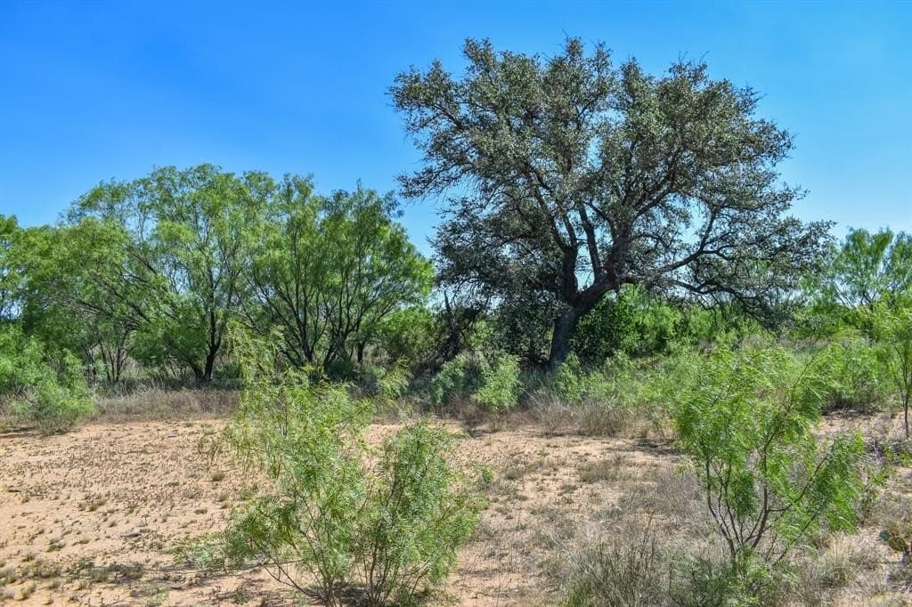40 acres in McCulloch County - photo 8