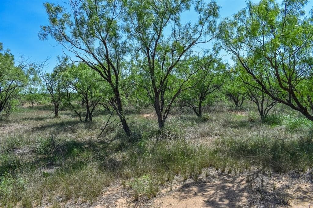 40 acres in McCulloch County - photo 10