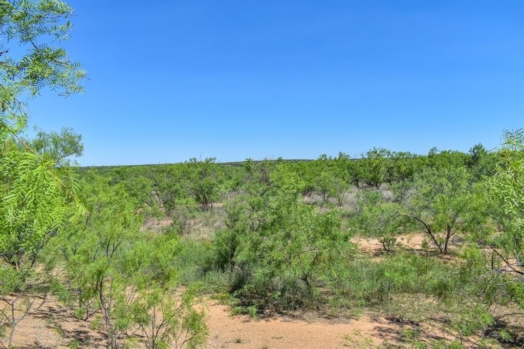 40 acres in McCulloch County - photo 4