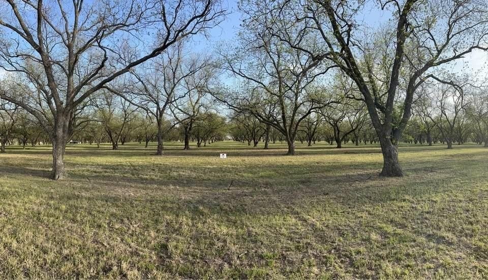 10.3 acres in Comanche County - photo 2