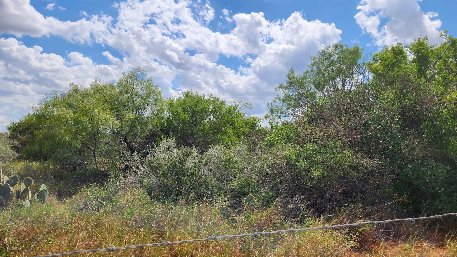 11.5 acres in Webb County - photo 14