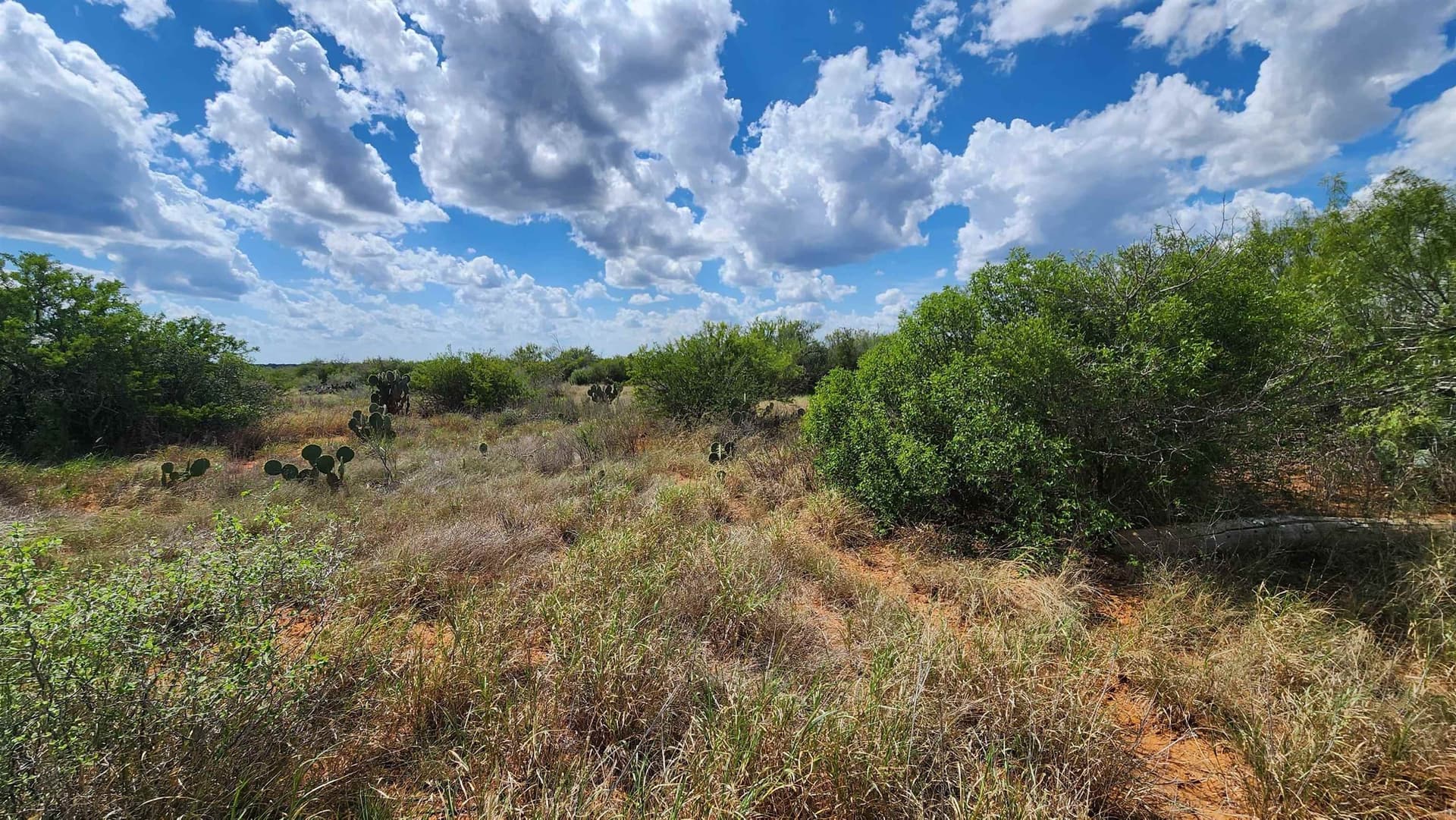 11.5 acres in Webb County - photo 13