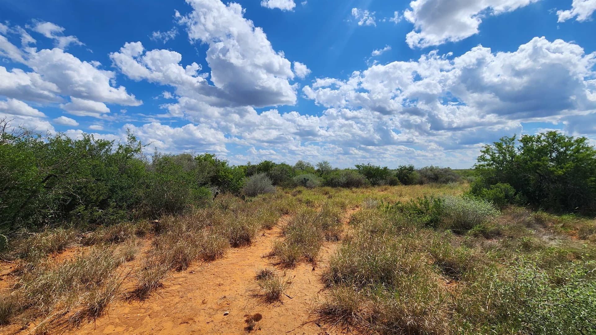 11.5 acres in Webb County - photo 9