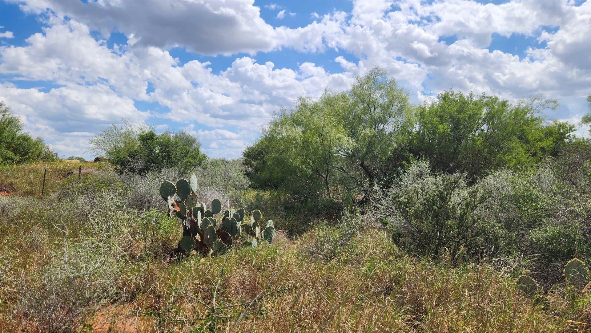 11.5 acres in Webb County - photo 15