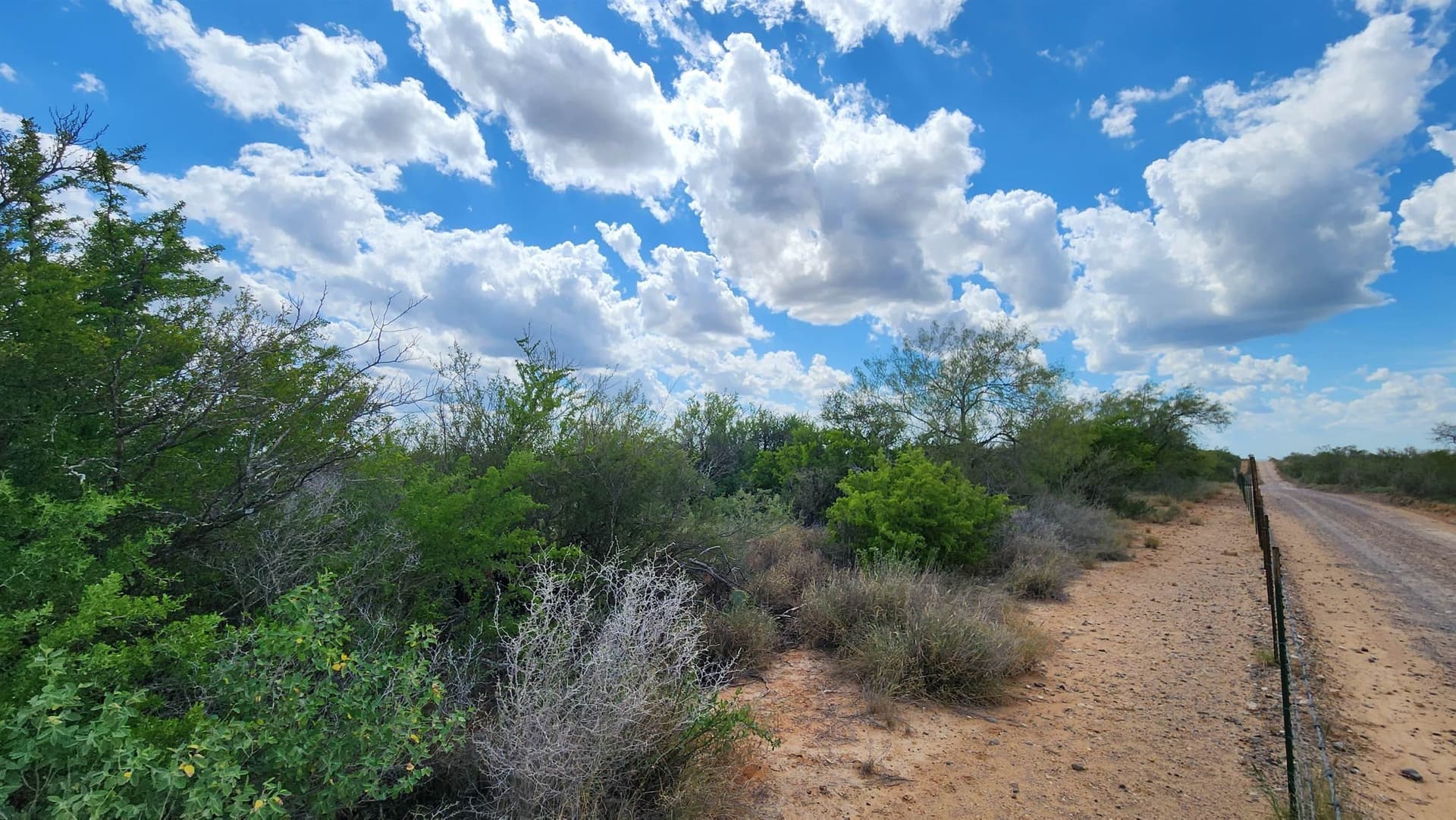 11.5 acres in Webb County - photo 3