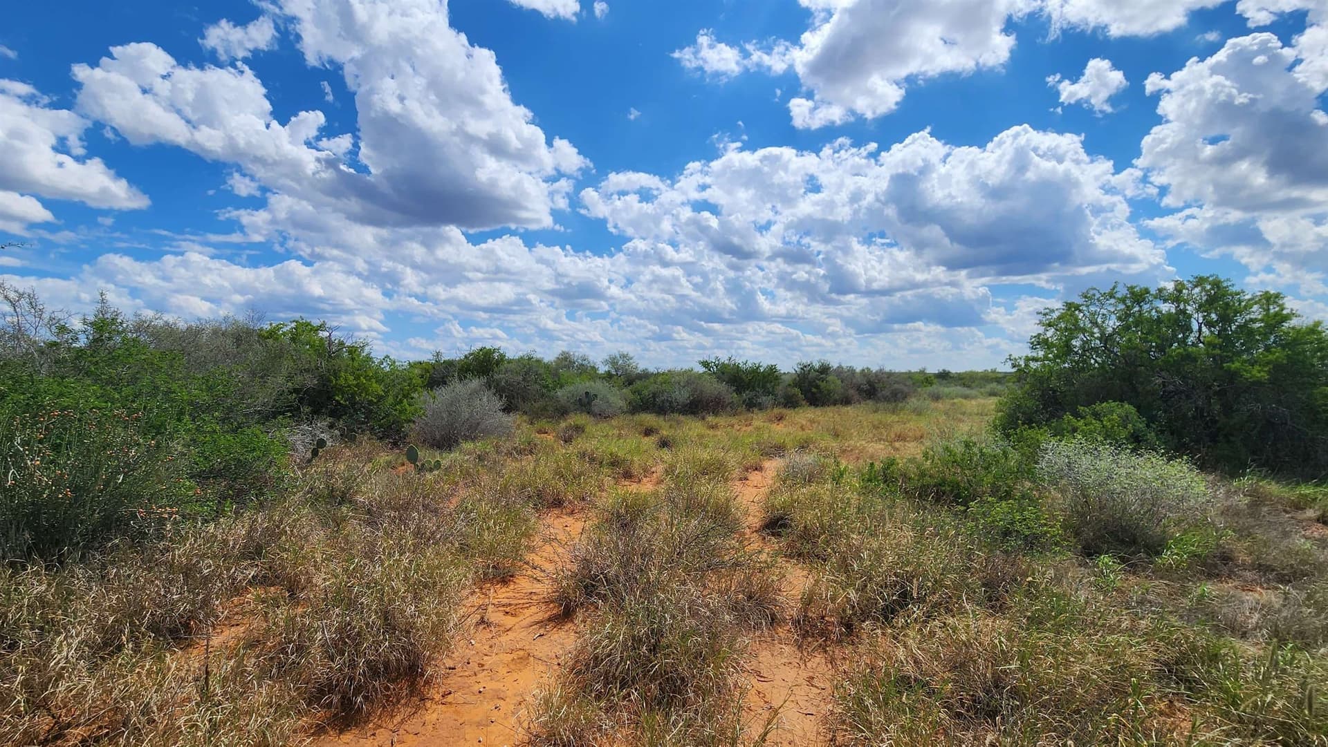 11.5 acres in Webb County - photo 7