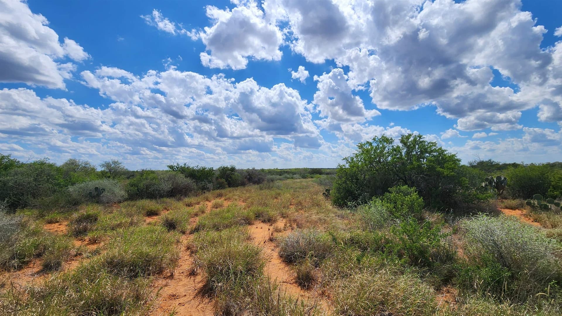 11.5 acres in Webb County - photo 8