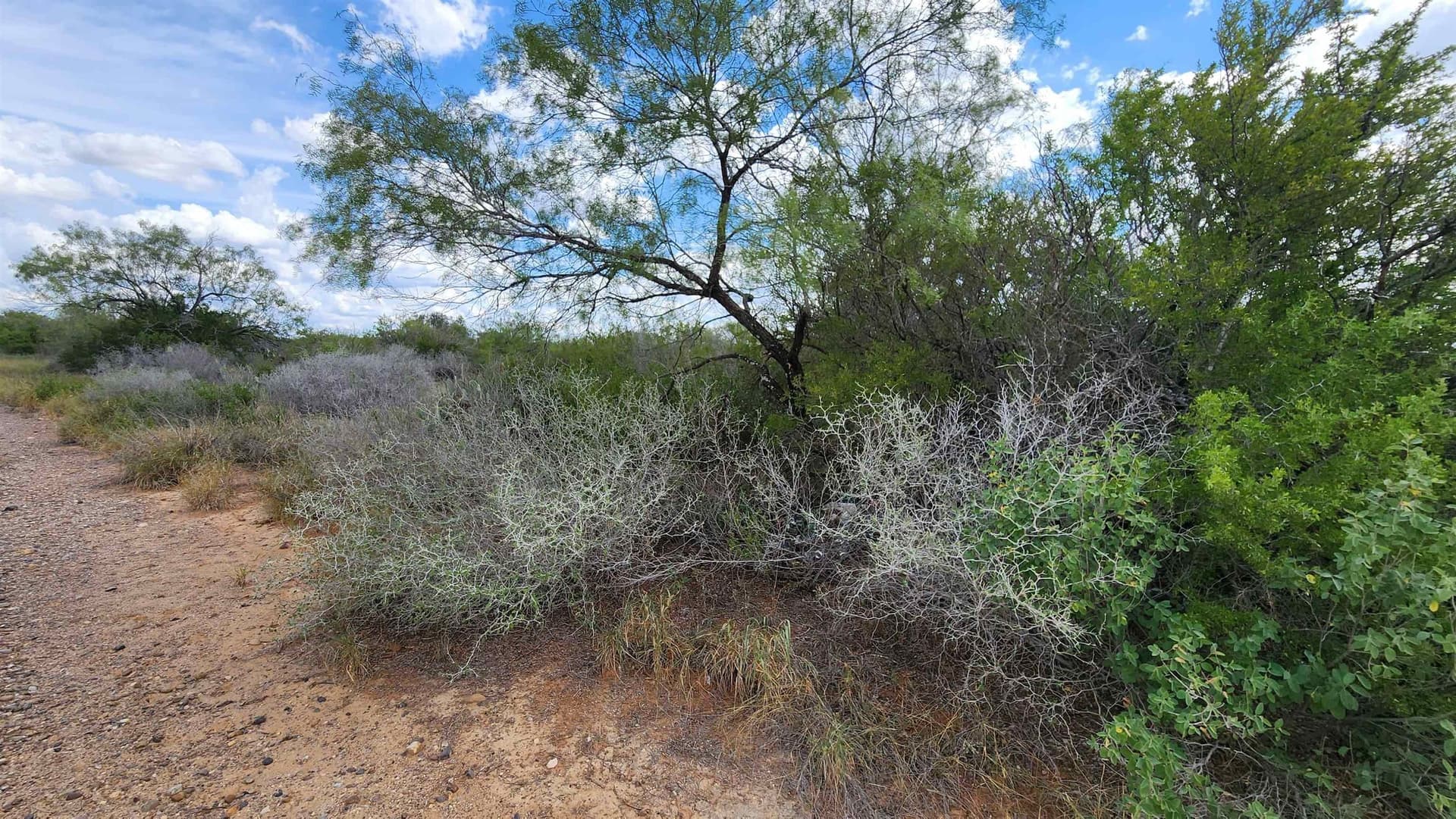 11.5 acres in Webb County - photo 5